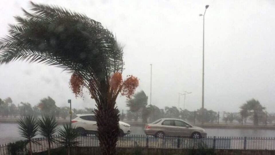 Akdeniz'i yağış, Doğu'yu don vurdu!