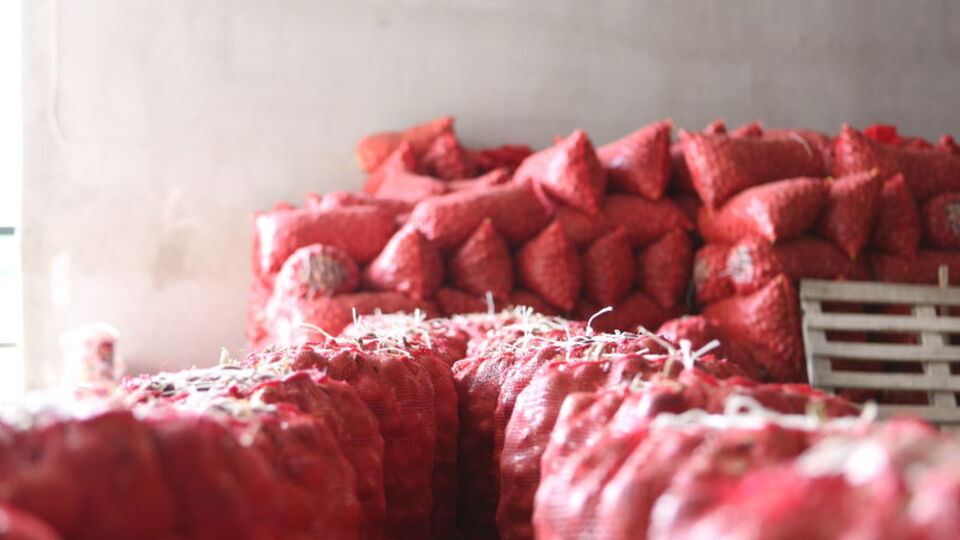 Rekabet Kurumu'ndan soğan açıklaması