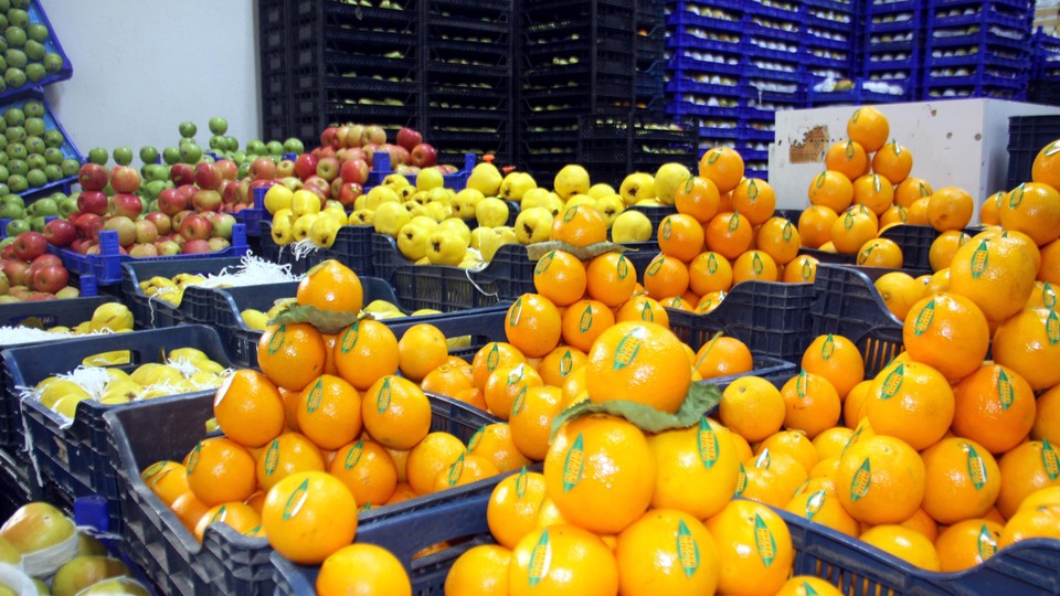 Halcilerde yeni yasa tepkisi