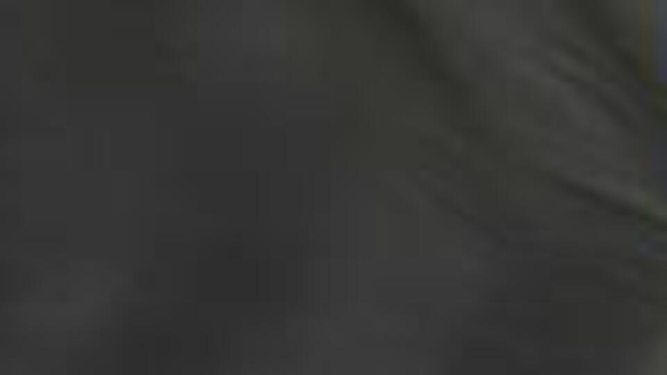 Belçika'da hükümet krizi: Çekiliriz!