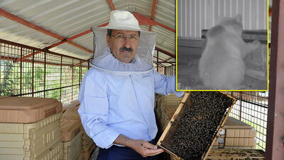 Kovaladığı ayılardan özür diledi