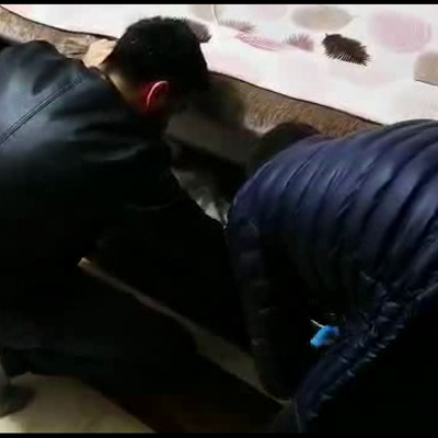 Sahte pasaportla 6 ülke gezdi!