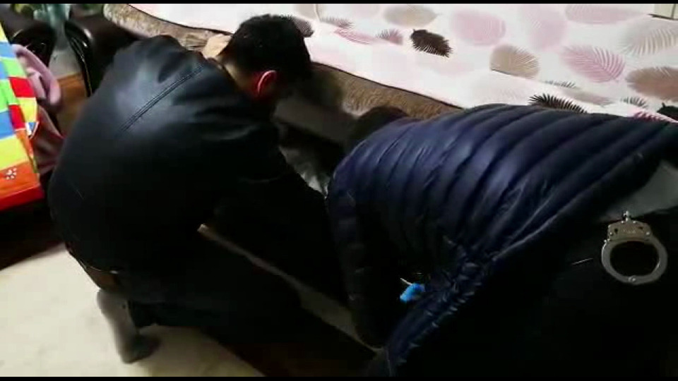 Sahte pasaportla 6 ülke gezdi!