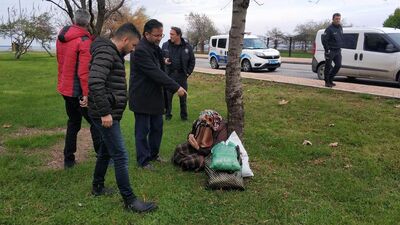 Ağaç dibinde böyle bulundu!