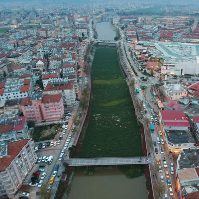 Burası Asi Nehri... Sümbüller istila etti!