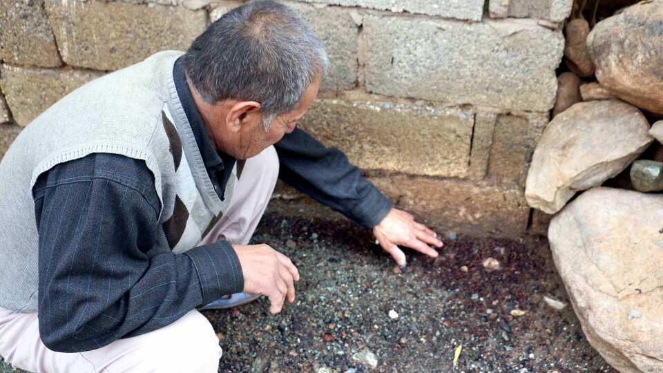 10 gün önce ortaya çıktı! Mahalleli ne yapacağını şaşırdı!
