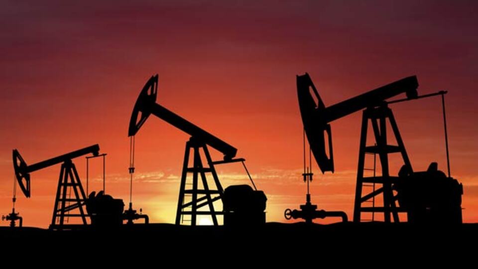 Başvuru kabul edildi... Adana'da petrol aranacak