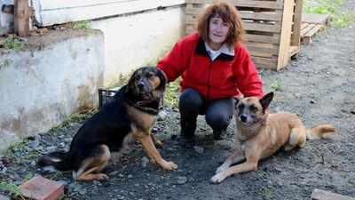 AYM'de ilk! 'Paşa' ve 'Ringo' için hukuk yolu