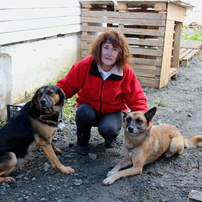 AYM'de ilk! 'Paşa' ve 'Ringo' için hukuk yolu