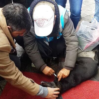 Gözlerinin önünde can çekişerek öldü!