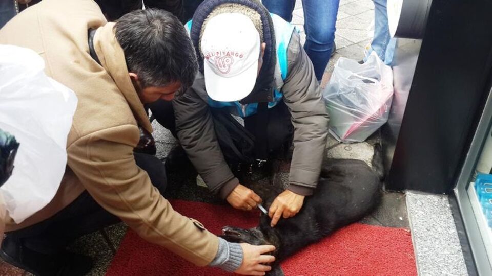 Gözlerinin önünde can çekişerek öldü!