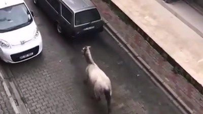 Bu kare yok artık dedirtti!