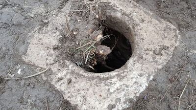 İzmir'de tesadüfen bulundu! İnceleme başlatıldı