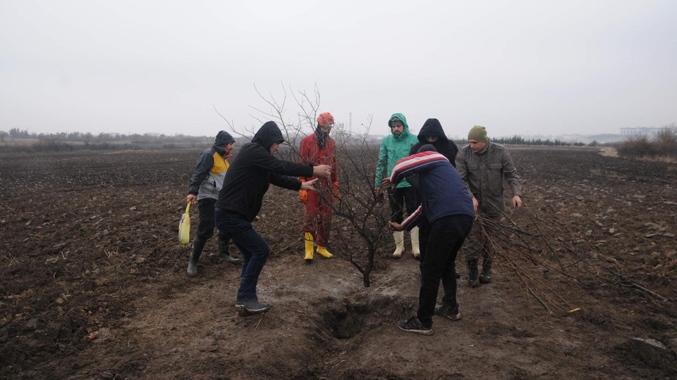 Tarlasını traktörle süren çiftçi takıldığı taşı oynattı! Taşın altına baktığında...