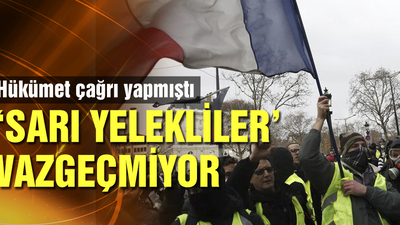 "Sarı yelekliler"den cumartesi günü gösteri çağrısı