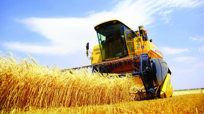 Tarım-ÜFE Kasım'da arttı