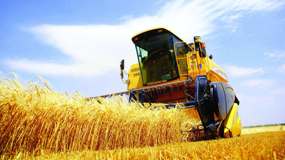 Tarım-ÜFE Kasım'da arttı