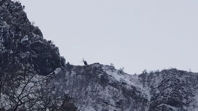 Mağarada kıstırılmışlardı... Sıcak çatışmada 2 terörist öldürüldü!
