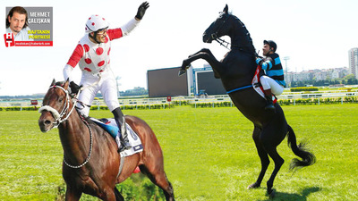 İnsanlara başarma umudu aşılayan at: Bold Pilot