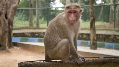 İşte Hadi ipucu sorusu ve yanıtı!