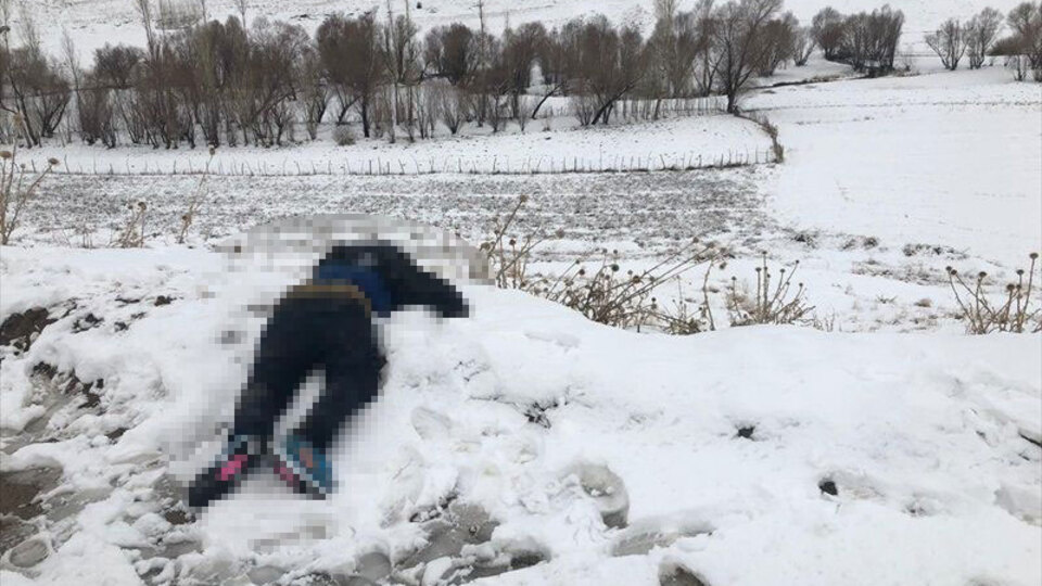 Van'da çok acı manzara! Böyle bulundu