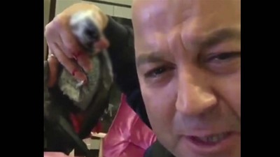 Papağana işkence infial yarattı