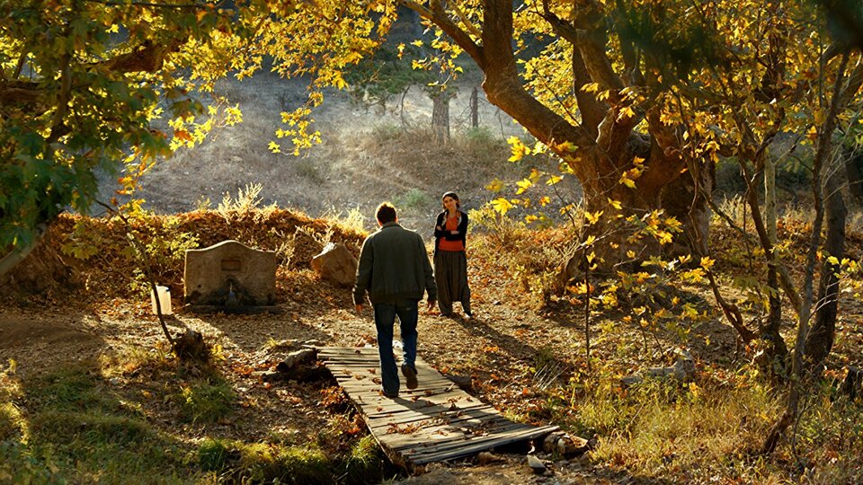 'Ahlat Ağacı' Oscar'da yok