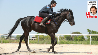 Bold Pilot ölümünden sonra da dış kulvardan atağa kalktı