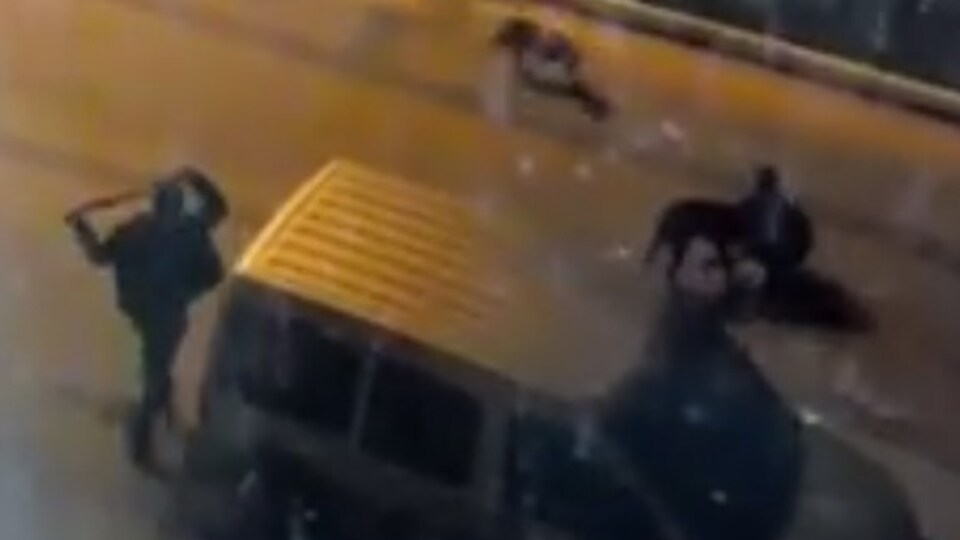 Ardı arkası kesilmiyor! Bu vahşete artık 'dur' deyin...