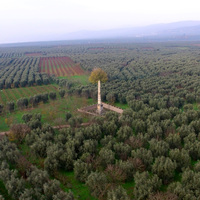 Eskiden avcılar buraya ateş ediyordu! "Acilen koruma altına alınmalı"