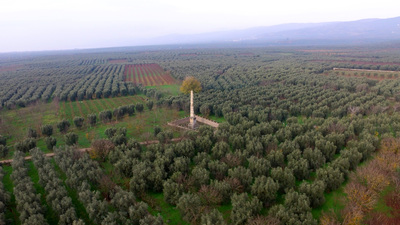 Eskiden avcılar buraya ateş ediyordu! "Acilen koruma altına alınmalı"