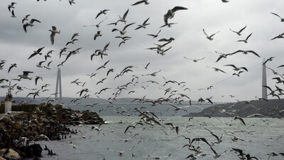 Batı için fırtına, doğu için kar alarmı!