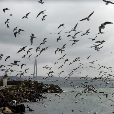 Batı için fırtına, doğu için kar alarmı!