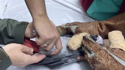 İşkence gören papağandan kötü haber!