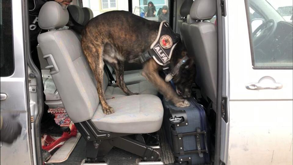 Kamyonetteki uyuşturucuyu Alfa buldu