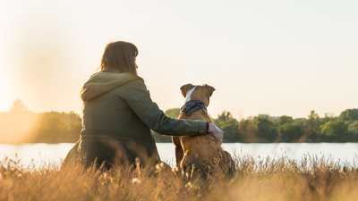 Uzmanlardan uyarı: Köpeğinizle tatile çıkarken dikkatli olun!