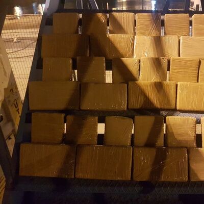 Muz yüklü konteynere saklanmıştı, dedektör köpek buldu