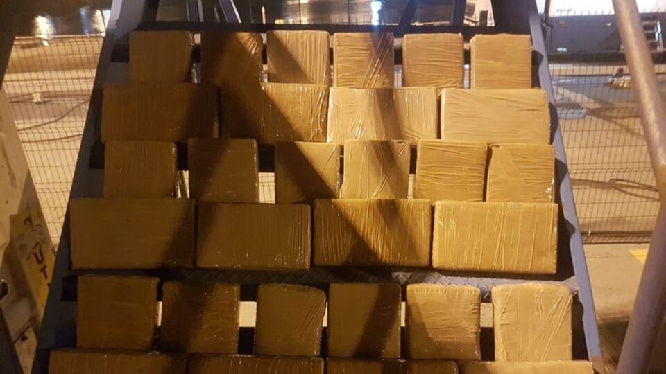 Muz yüklü konteynere saklanmıştı, dedektör köpek buldu