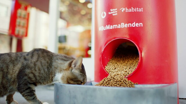 Attığınız 'tweet' sokak hayvanları için mama oluyor