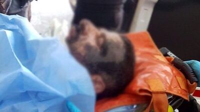 Eşini, 5 yaşındaki kızının önünde öldürmüştü! O kocanın cezası belli oldu!