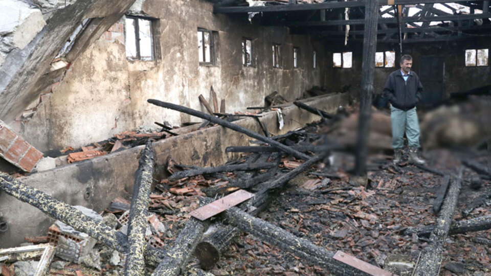 Ahırda yangın çıktı! 12 büyükbaş hayvan öldü