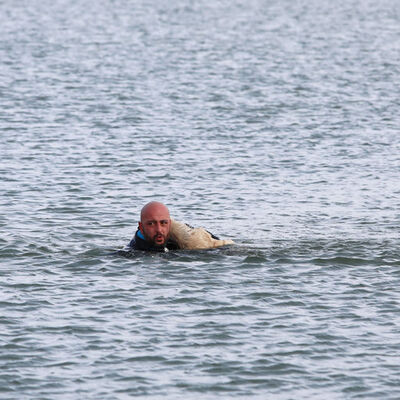 Alkışlanacak hareket! Kıra kıra ilerledi, kucaklayıp getirdi...