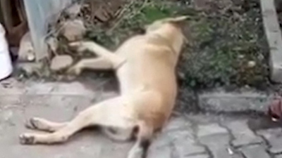 Kırıkkale'den korkunç iddia