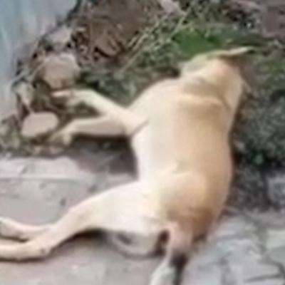 Kırıkkale'den korkunç iddia