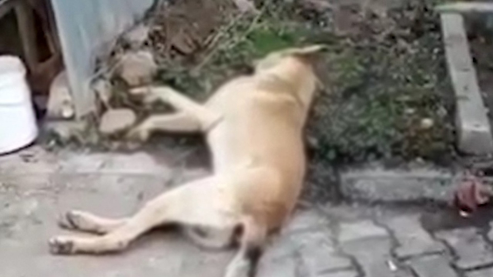 Kırıkkale'den korkunç iddia