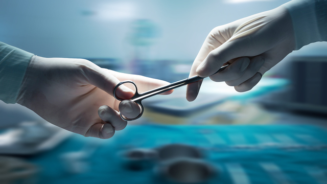 8 aylık bebek sandılar! Bakın ne çıktı...