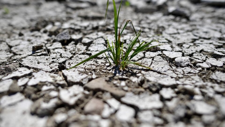 İklim değişikliği: Küresel ısınmanın dev maliyeti 2018'e damga vurdu