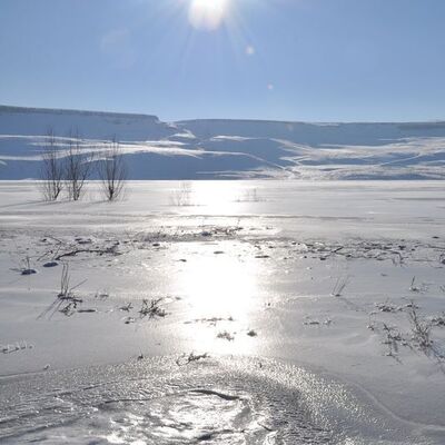 Göl ve çeşmeler dondu! O kent eksi 24'ü gördü!