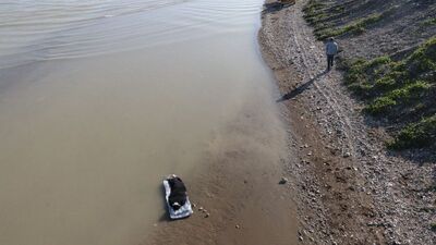 Dere kenarında korkutan manzara!