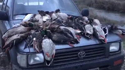 Tepki çeken olay! Polis her yerde onları arıyor